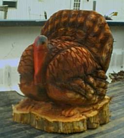 202_5TWturkey