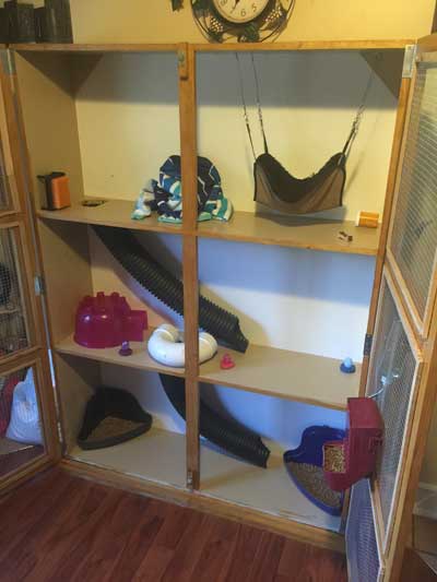 397FBFerretCaseInside