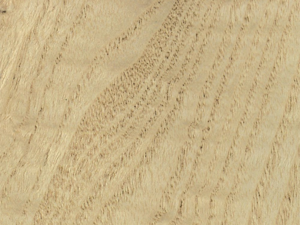 Wood Used For Oxen Yokes