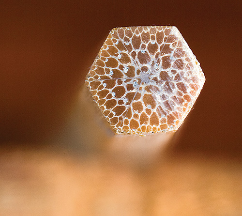 Glued together bamboo rod