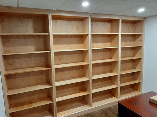 Basement wall bookcase