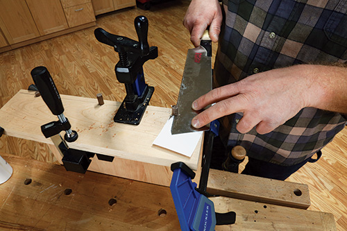 Trimming walnut dowel pieces to size with hand saw