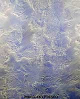 Finishing-School-II-1