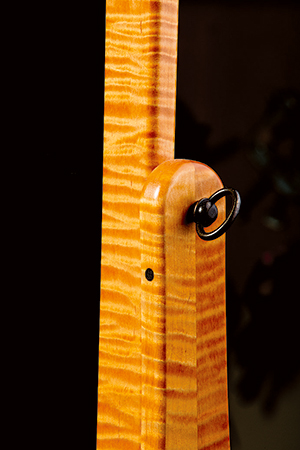 Brass mirror hinge hardware