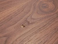 Repairing a dent in wood