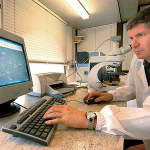 IIFreudCheckingCarbideGrain