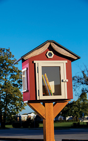 Kim McNeelan's little library project