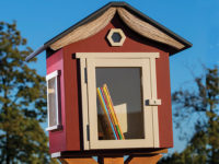 School house themed outdoor library