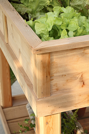 Corner of patio planter