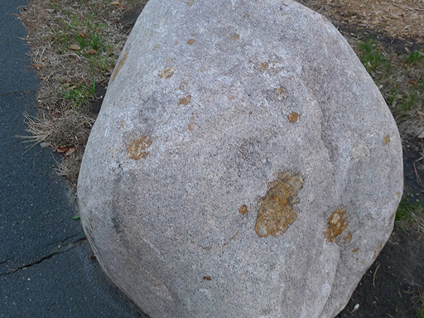 Expiration Date on Stones?