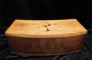 TW10NoteCurvedTongueDrum