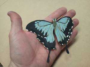 TWButterflyFromVeneers