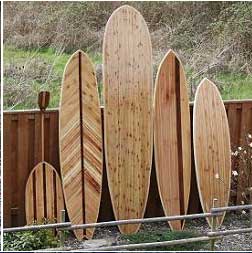 TWRowOfBoardsAndPaddles