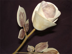 TWWoodenRose