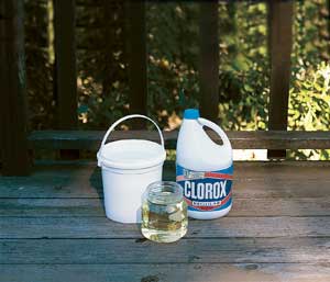 WJBlogMD-CloroxOnDeck Clorox On Deck