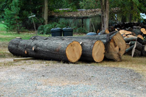 WJBlog_H_Brodie_Logs