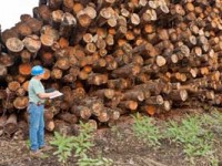 Looking at Logs With Clipboard