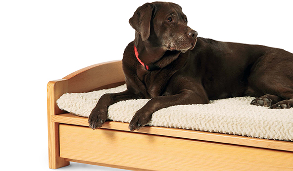Large pet bed with storage