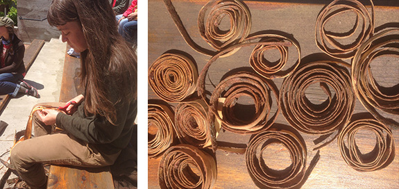 I met a woman named, Emily Derke, that is a basket maker. She was cutting apart material and preparing it for weaving. She is offering a class at NHFS this summer!