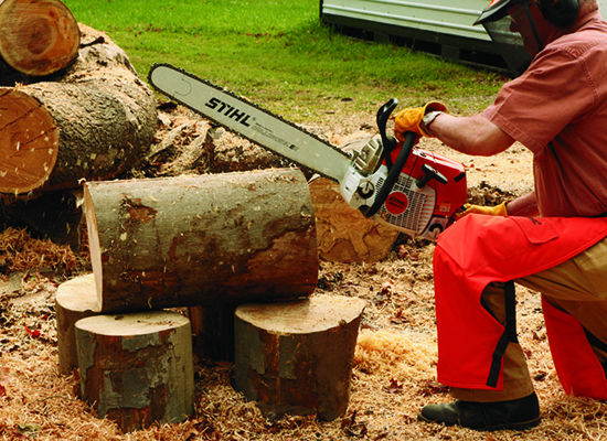 With the checks cut away from the end of the log section and your properly sized log securely raised from the ground, begin the first cut.