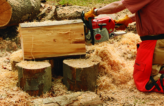 Next, completely cut away the outside waste from both sides of the log. (Note the piece on the ground on the near side in the photo.)