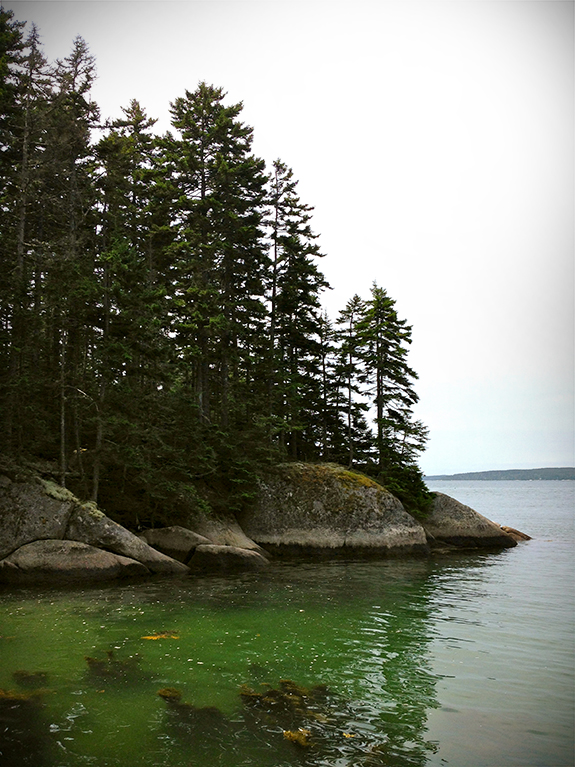 There are trails to explore along the water!