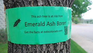 eab_pic--image3.1