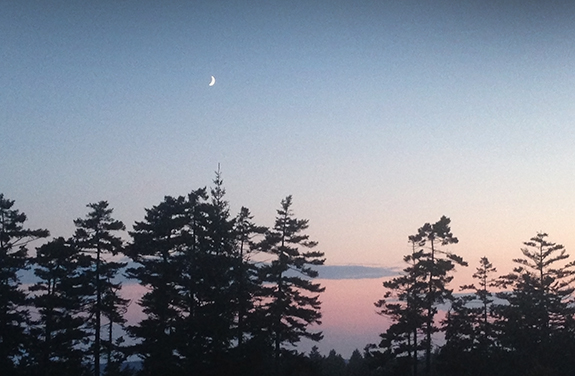 And nights were beautiful too.