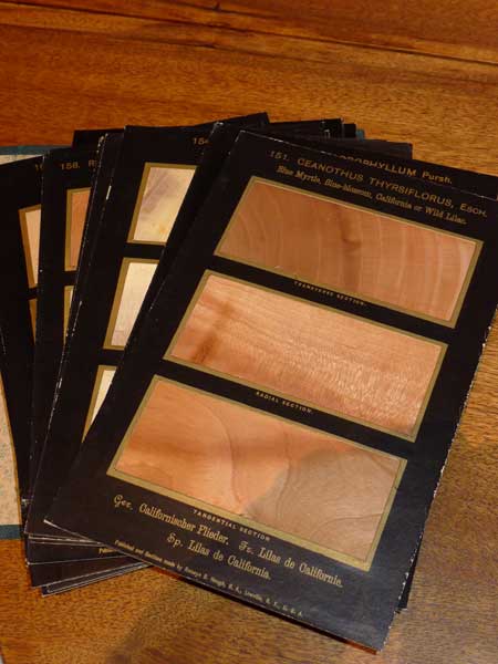 Hough's American Woods 2 Hough's American Woods 2