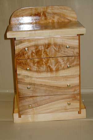 n312FBCarneyJewelryCase