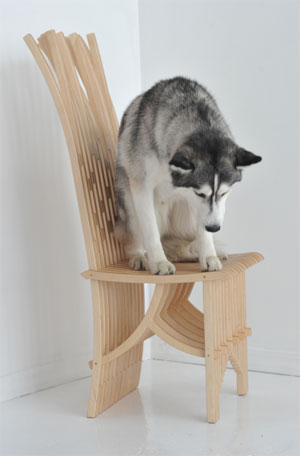 n325TWChairStrongWithDog