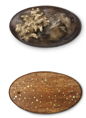 n331TWBroochForBethTropicalFish