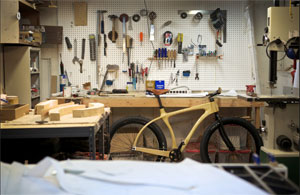 n334TWBikeInShopScene