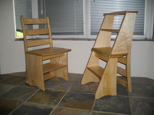 n337FBLibraryLadders