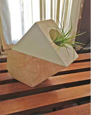 n345TWAirplantHolder